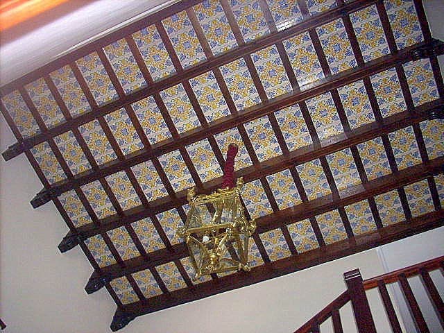 Imagen 25