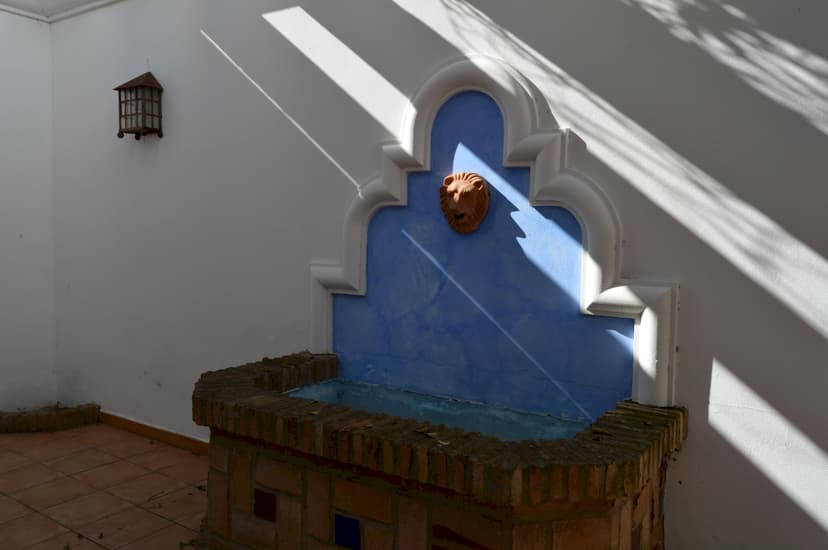 Imagen 10