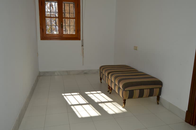 Imagen 11