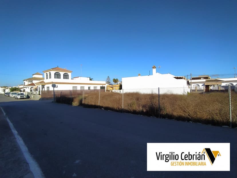 Imagen 8