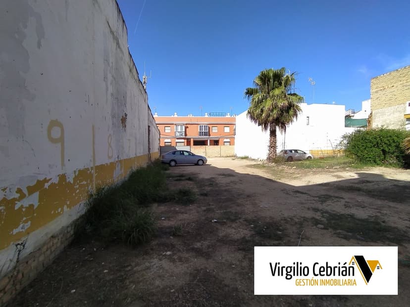 Imagen 5