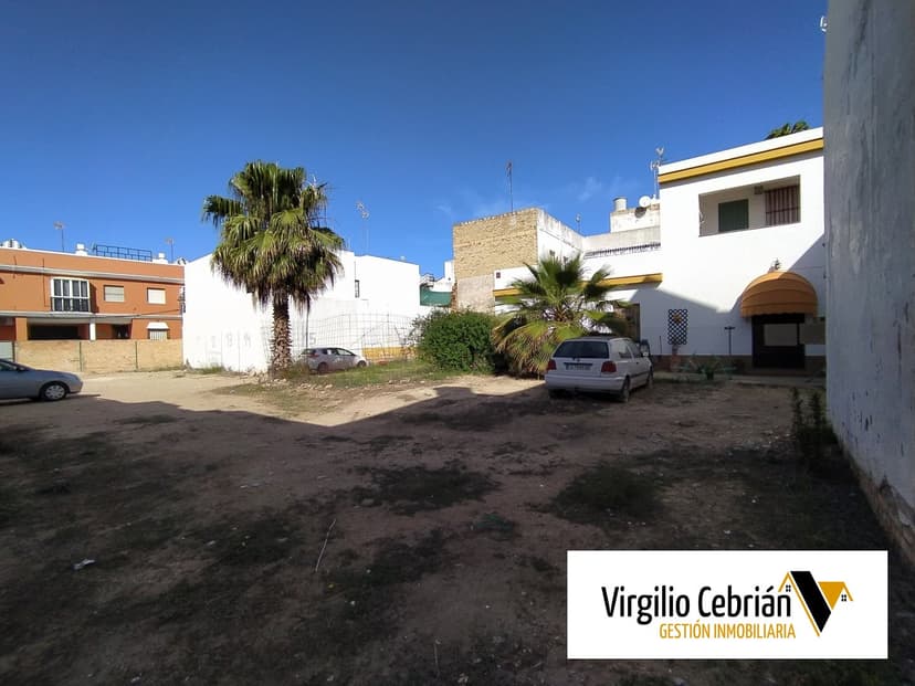 Imagen 7