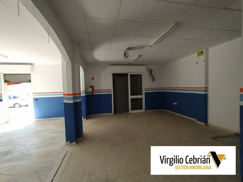 Imagen 11