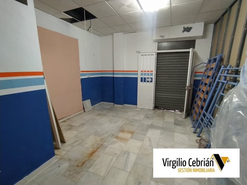 Imagen 8