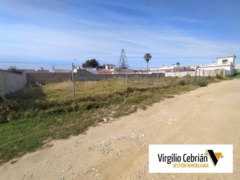 Imagen 1