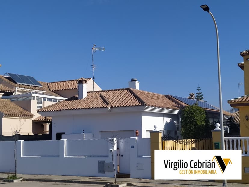 Imagen 10