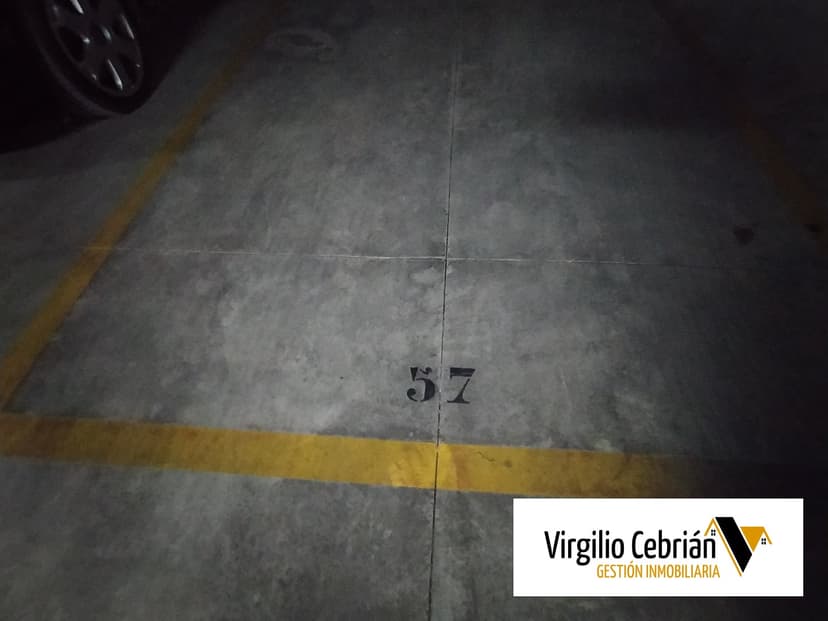 Imagen 5