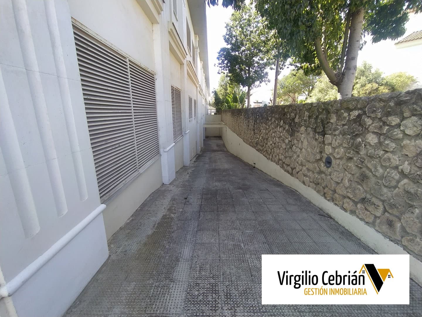 Imagen 8