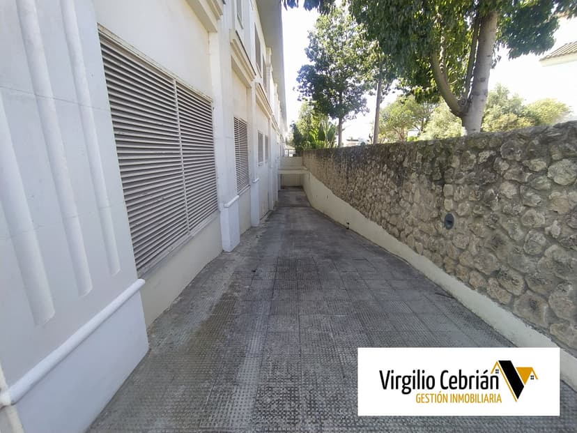 Imagen 8