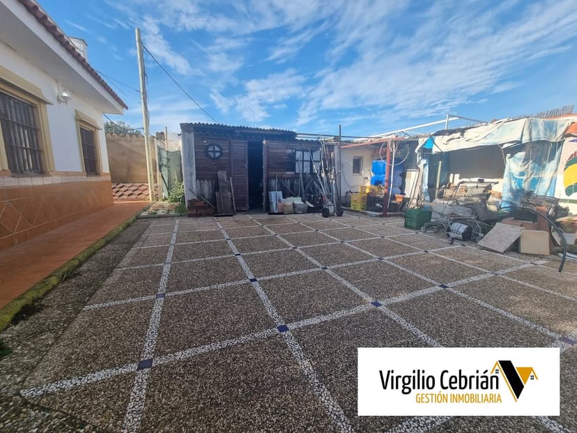 Imagen 6